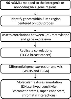 DNA methylation differences in noncoding regions in ER negative breast tumors between Black and White women